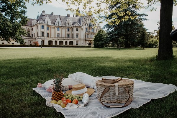 Picknick-Buchungsbedingungen