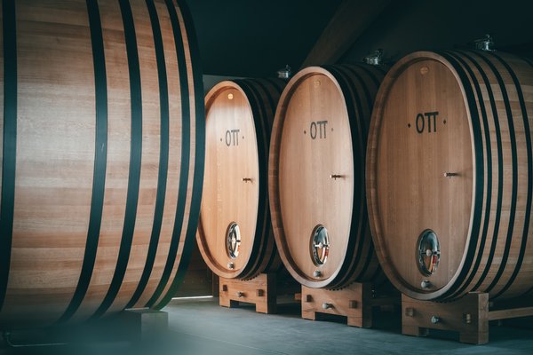 Besuch & Verkostung Weingut Bernhard Ott