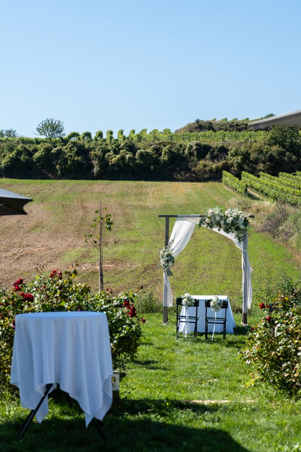 Hochzeiten im Weinblick
