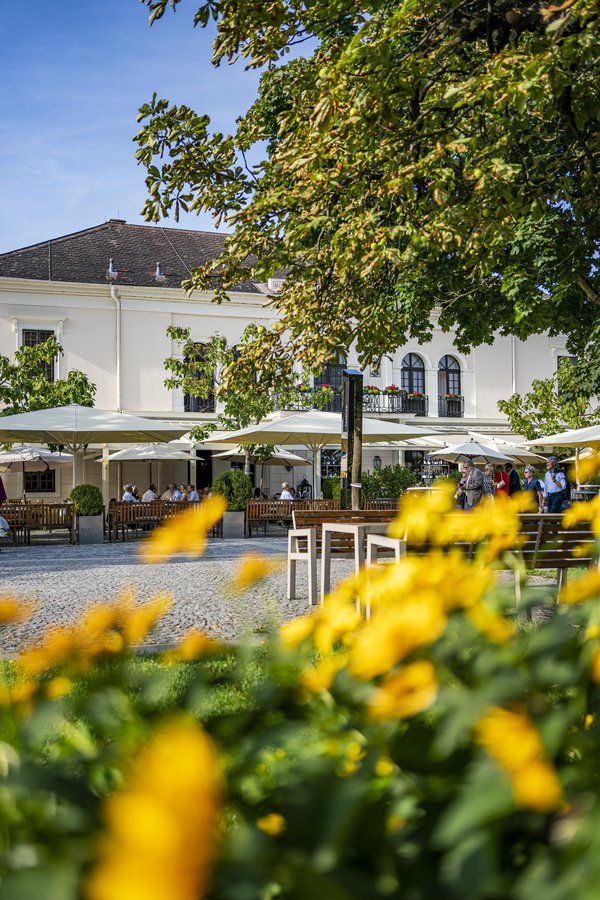 Grafenegg Hotel