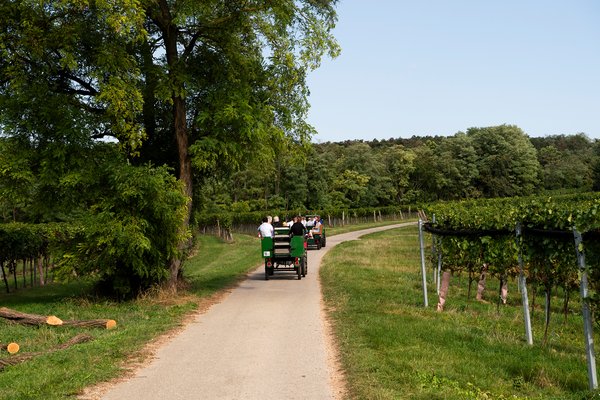 Oldtimer Traktorfahrt