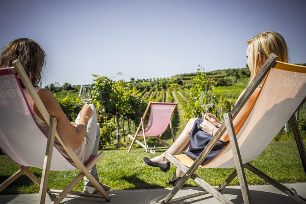 Weinblick