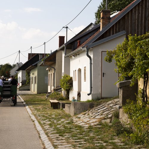 Traktorfahrt.jpg