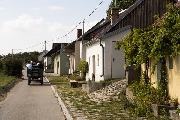 Kellergassenführung