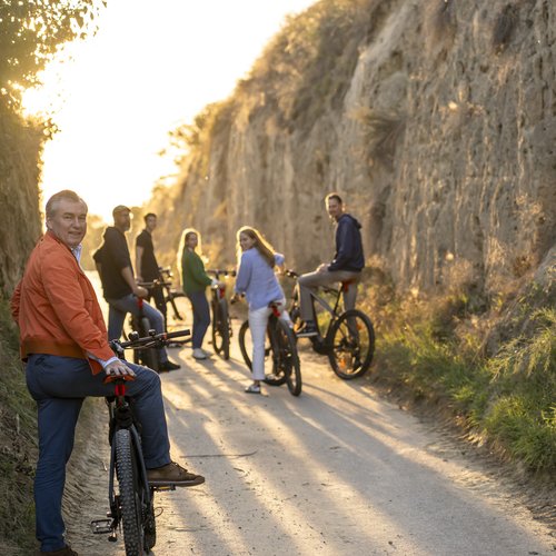 e-bikes2.jpg