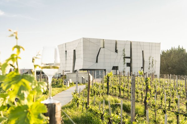 Steininger LOISIUM WeinWelt