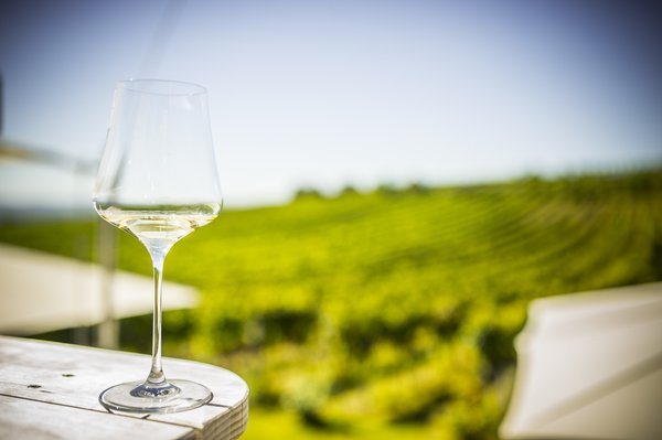 Weinblick