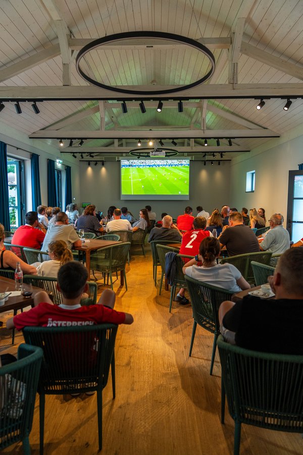 WM - Public Viewing