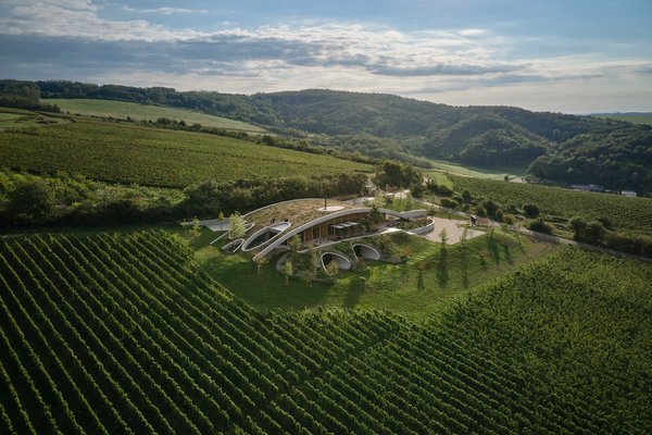 Gurdau Winery – Exklusiver Weinabend & Gourmet-Dinner